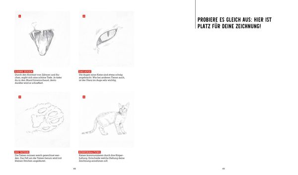 Produktbild: Genial zeichnen &ndash; Tiere