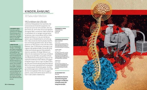 Produktbild: Anatomie und Medizin in 30 Sekunden