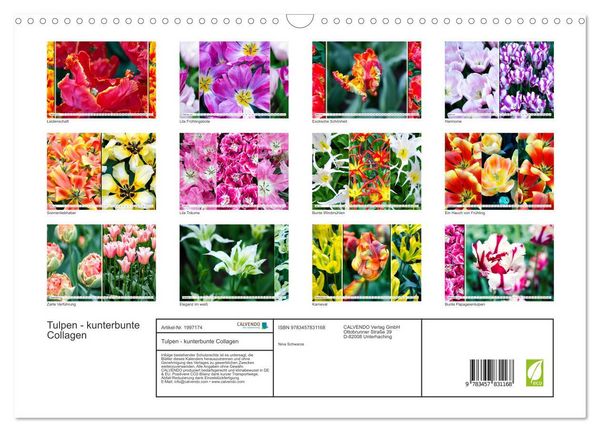 Produktbild: Tulpen - kunterbunte Collagen (Wandkalender 2026 DIN A3 quer), CALVENDO Monatskalender