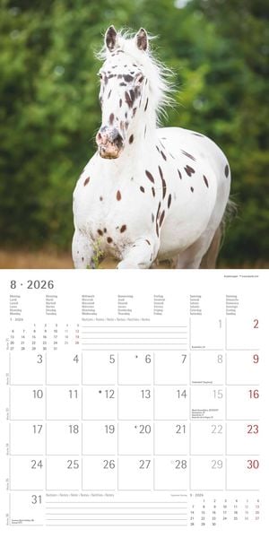 Produktbild: Pferde 2026 - Broschürenkalender 30x30 cm (30x60 geöffnet) - Kalender mit Platz für Notizen - Horses - Bildkalender - Wandplaner - Pferdekalender