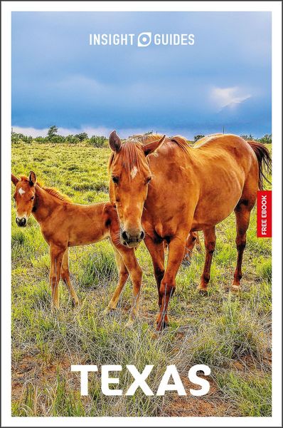 Produktbild: Insight Guides Texas: Travel Guide with eBook