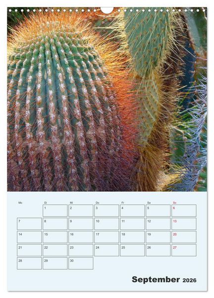 Produktbild: Wehrhafte Sukkulenten (Wandkalender 2026 DIN A3 hoch), CALVENDO Monatskalender