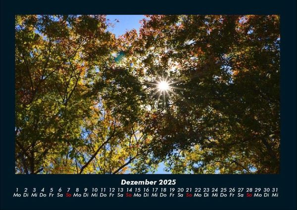 Produktbild: Landschaftskalender 2025 Fotokalender DIN A4