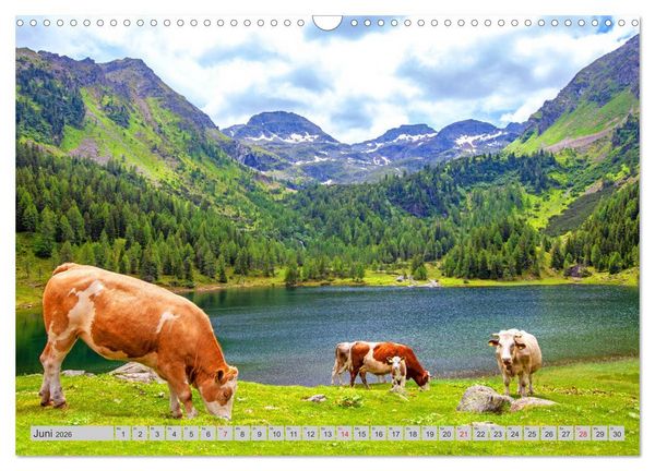 Produktbild: Der Duisitzkarsee (Wandkalender 2026 DIN A3 quer), CALVENDO Monatskalender