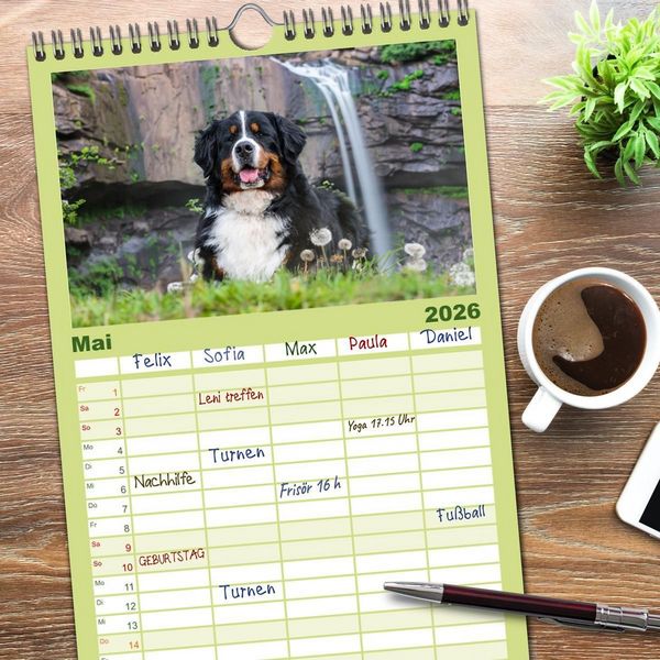 Produktbild: Familienplaner 2026 - Berner Sennenhunde - Traumhunde mit Charme mit 5 Spalten (Wandkalender, 21 x 45 cm) CALVENDO