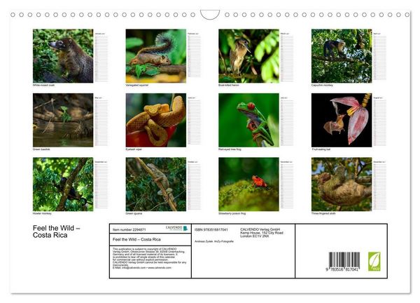 Produktbild: Feel the Wild &ndash; Costa Rica (Wall Calendar 2027 DIN A3 landscape), CALVENDO 12 Month Wall Calendar