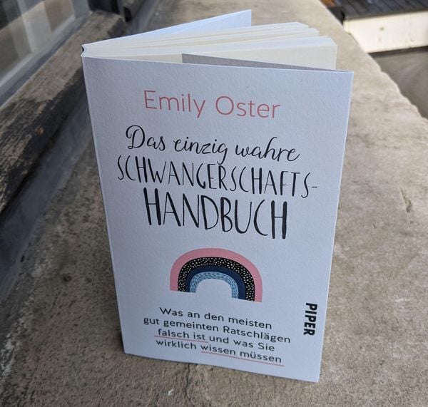 Produktbild: Das einzig wahre Schwangerschafts-Handbuch