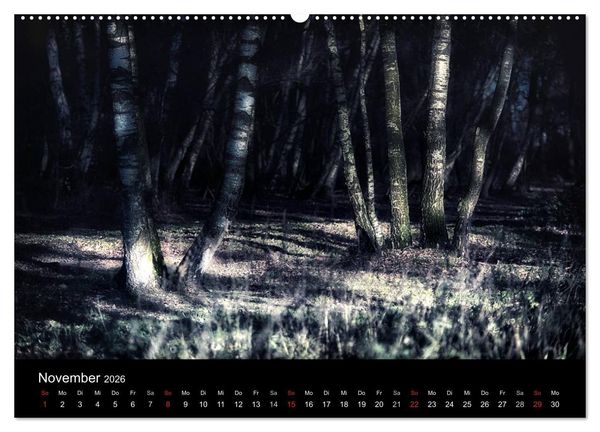 Produktbild: Mystische W&auml;lder (hochwertiger Premium Wandkalender 2026 DIN A2 quer), Kunstdruck in Hochglanz