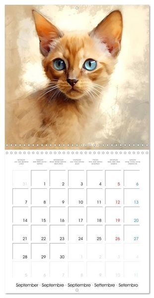 Produktbild: Illustrations Chatons (Calendrier mural carr&eacute; 2026 30x30 cm) Calendrier double avec une page pour vos prises de notes