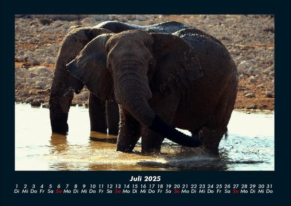 Produktbild: Der Elefantenkalender 2025 Fotokalender DIN A4