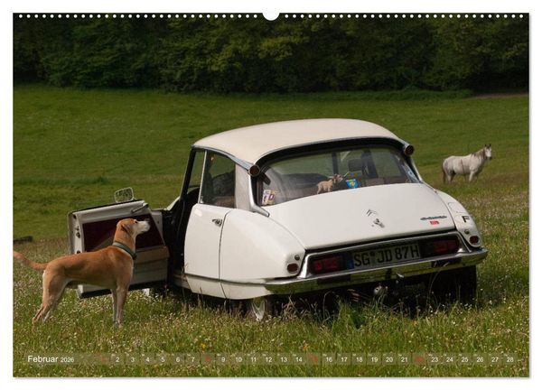 Produktbild: Citro&euml;n DS - G&ouml;ttin in wei&szlig; (hochwertiger Premium Wandkalender 2026 DIN A2 quer), Kunstdruck in Hochglanz