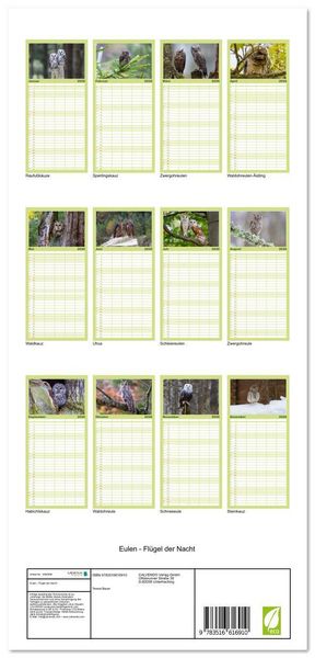 Produktbild: Familienplaner 2026 - Eulen - Fl&uuml;gel der Nacht mit 5 Spalten (Wandkalender, 21 x 45 cm) CALVENDO