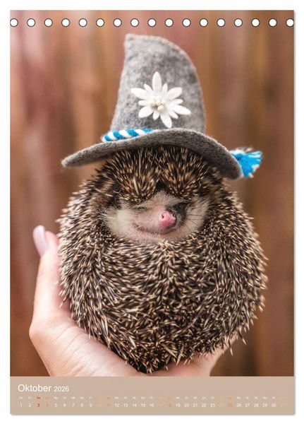 Produktbild: Gilbert der Igel (Tischkalender 2026 DIN A5 hoch), CALVENDO Monatskalender