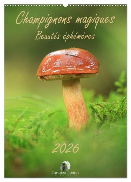 Produktbild: Champignons magiques - Beaut&eacute;s &eacute;ph&eacute;m&egrave;res (Calendrier mural 2027 DIN A2 horizontal), CALVENDO calendrier mensuel