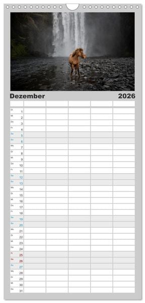 Produktbild: Familienplaner 2026 - Islandpferde Kalender - Pferde von der Insel aus Feuer und Eis mit 5 Spalten (Wandkalender, 21 x 45 cm) CALVENDO