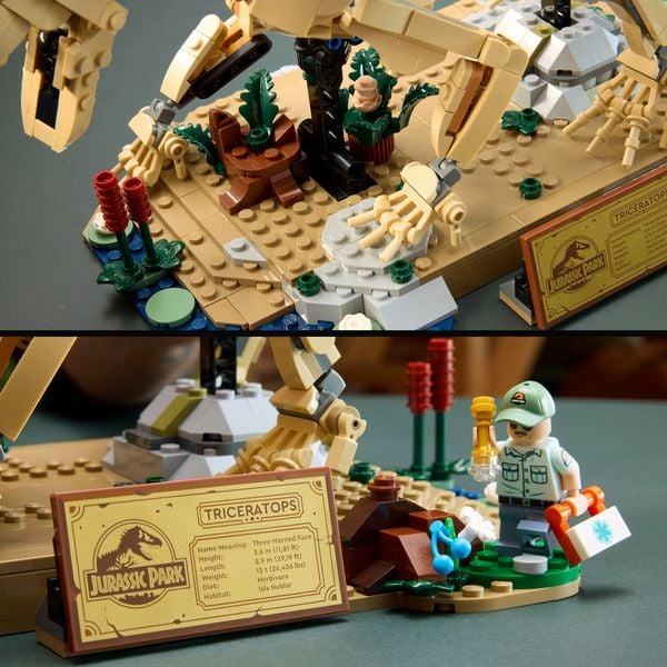 Produktbild: LEGO Jurassic World 77985 Dinosaurier-Fossilien: Triceratops, Modellbau
