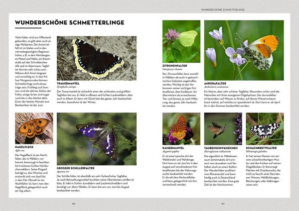 Produktbild: Tiere beobachten mit dem Wildtierguide