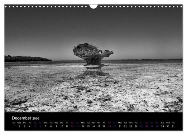 Produktbild: East Africa - Tanzania and Kenya / UK-Version (Wall Calendar 2026 DIN A3 landscape), CALVENDO 12 Month Wall Calendar