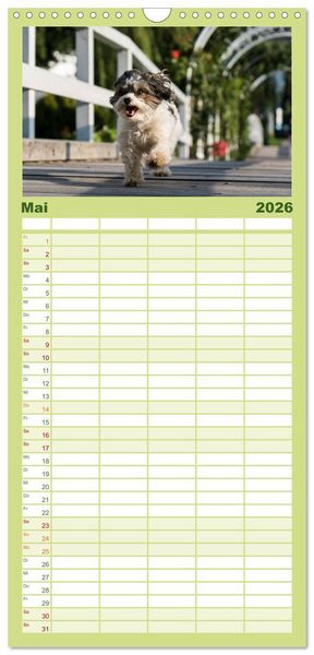 Produktbild: Familienplaner 2026 - Spa&szlig; mit Havanesern mit 5 Spalten (Wandkalender, 21 x 45 cm) CALVENDO