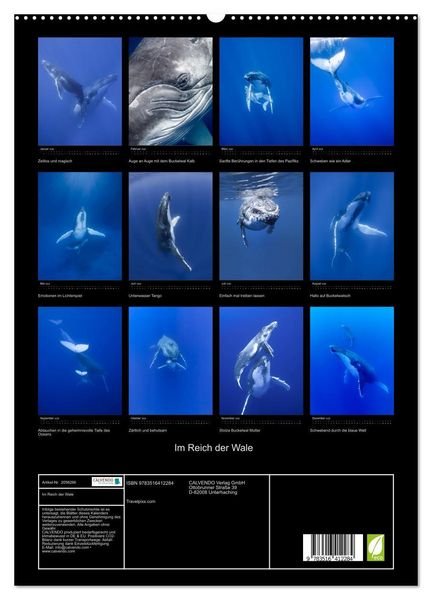 Produktbild: Im Reich der Wale (hochwertiger Premium Wandkalender 2026 DIN A2 hoch), Kunstdruck in Hochglanz