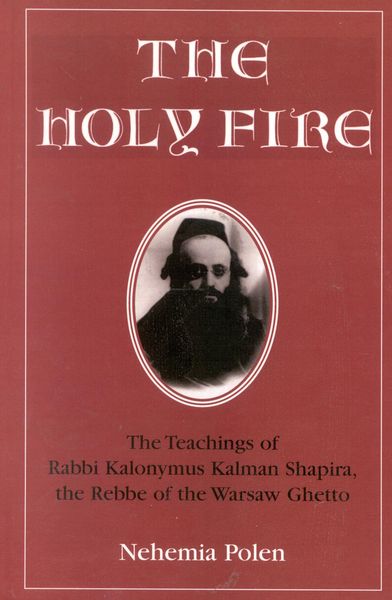 Produktbild: The Holy Fire