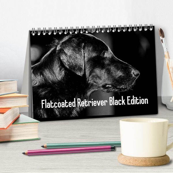 Produktbild: Flatcoated Retriever Black Edition (Tischkalender 2026 DIN A5 quer), CALVENDO Monatskalender
