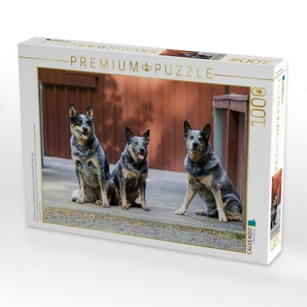 Produktbild: CALVENDO Puzzle Ein Motiv aus dem Kalender Spaziergang am See Australian Cattle Dogs | 1000 Teile Lege-Gr&ouml;&szlig;e 64x48cm Foto-Puzzle f&uuml;r gl&uuml;ckliche Stunden