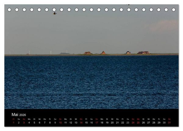 Produktbild: Pellworm 2026 (Tischkalender 2026 DIN A5 quer), CALVENDO Monatskalender