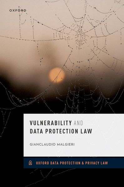 Produktbild: Vulnerability and Data Protection Law
