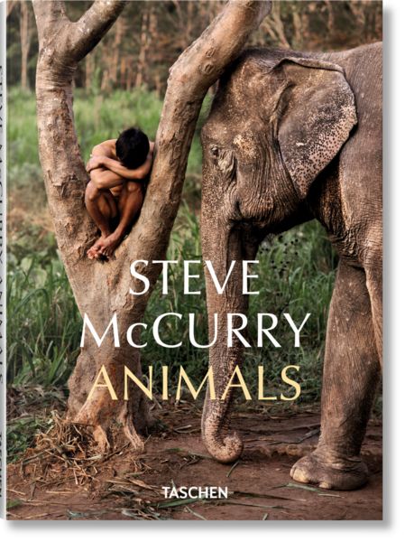 Produktbild: Steve McCurry