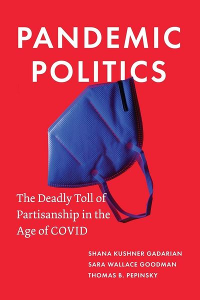 Produktbild: Pandemic Politics