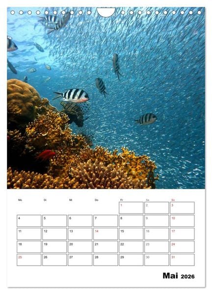 Produktbild: Zauberwelt. Fische, Korallen und Co. (Wandkalender 2026 DIN A4 hoch), CALVENDO Monatskalender