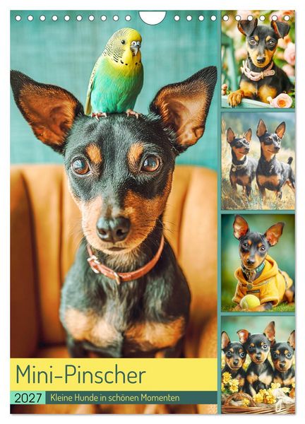 Produktbild: Mini-Pinscher. Kleine Hunde in sch&ouml;nen Momenten (Wandkalender 2027 DIN A4 hoch), CALVENDO Monatskalender