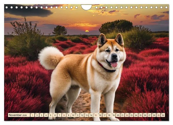 Produktbild: Akita Inu - Inbegriff der Treue (Wandkalender 2026 DIN A4 quer), CALVENDO Monatskalender