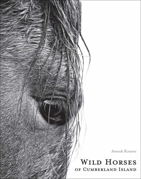 Produktbild: Wild Horses of Cumberland Island