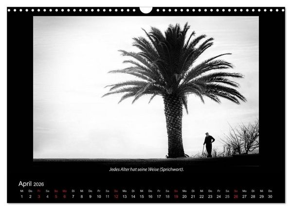 Produktbild: Schwarz-Weis(s)heiten (Wandkalender 2026 DIN A3 quer), CALVENDO Monatskalender