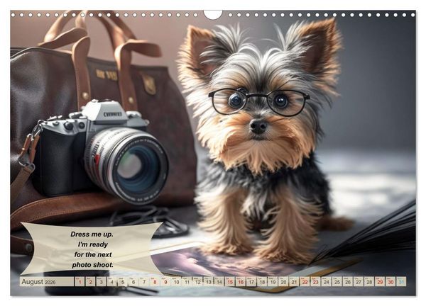Produktbild: Great fun for Yorkshire Terrier lovers (Wall Calendar 2026 DIN A3 landscape), CALVENDO 12 Month Wall Calendar