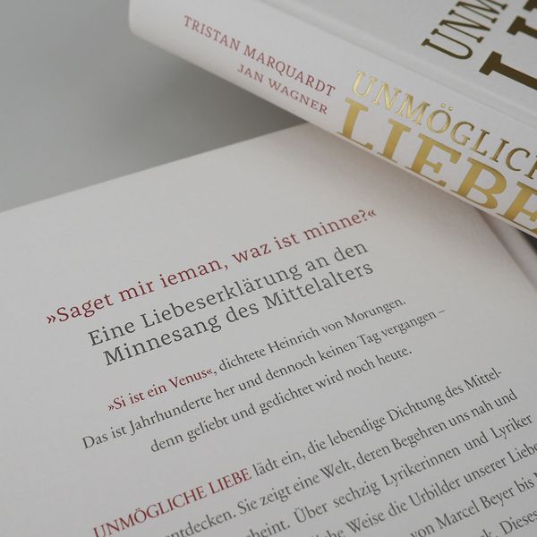 Produktbild: Unm&ouml;gliche Liebe