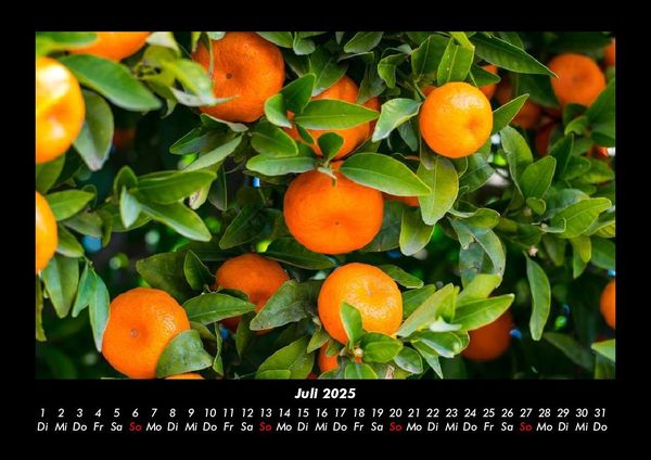 Produktbild: Obstkalender 2025 Fotokalender DIN A3