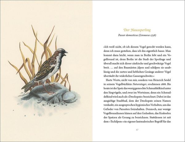 Produktbild: Vom Gl&uuml;ck des Vogelgesangs