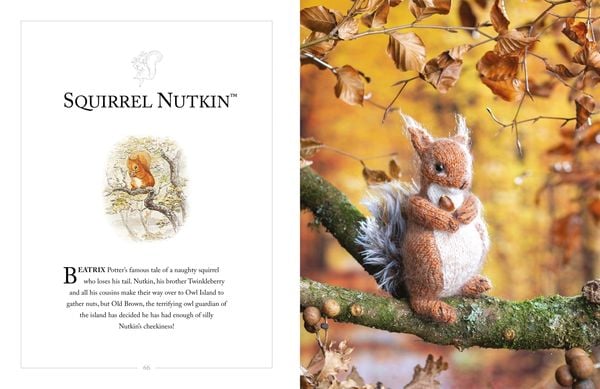 Produktbild: Knitting Peter Rabbit(TM)