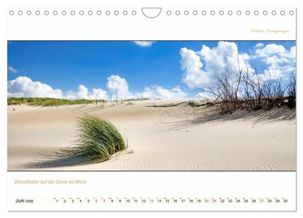 Produktbild: NORDERNEY PANORAMA (Wandkalender 2026 DIN A4 quer), CALVENDO Monatskalender