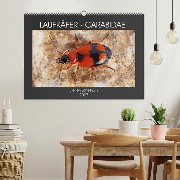 Produktbild: LAUFK&Auml;FER - CARABIDAE (Wandkalender 2027 DIN A2 quer), CALVENDO Monatskalender