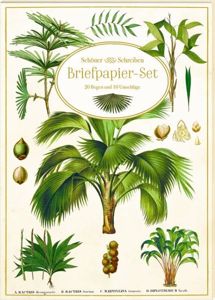 Produktbild: Briefpapier-Set
