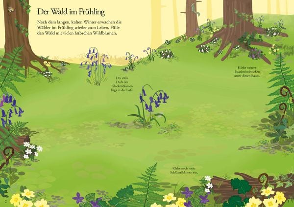 Produktbild: Mein Immer-wieder-Stickerbuch: Wildblumen