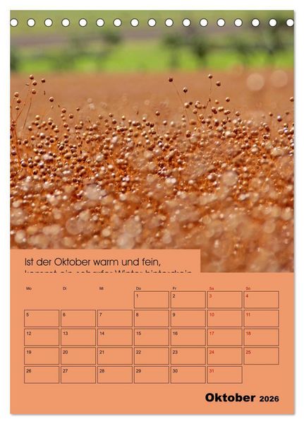 Produktbild: Wetter-Regeln der Bauern (Tischkalender 2026 DIN A5 hoch), CALVENDO Monatskalender