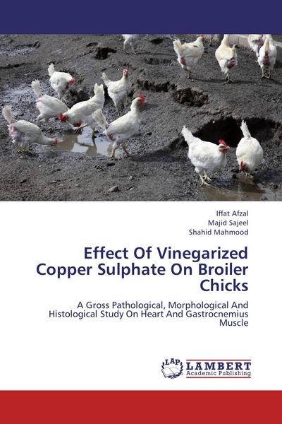 Produktbild: Effect Of Vinegarized Copper Sulphate On Broiler Chicks