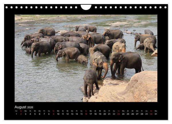 Produktbild: Sri Lanka Impressionen (Wandkalender 2026 DIN A4 quer), CALVENDO Monatskalender