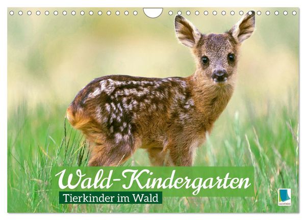 Produktbild: Wald-Kindergarten: Tierkinder im Wald (Wandkalender 2026 DIN A4 quer), CALVENDO Monatskalender