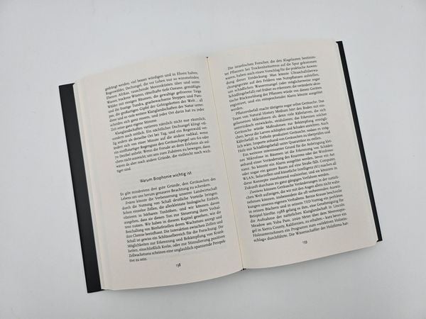 Produktbild: Alles ist Klang